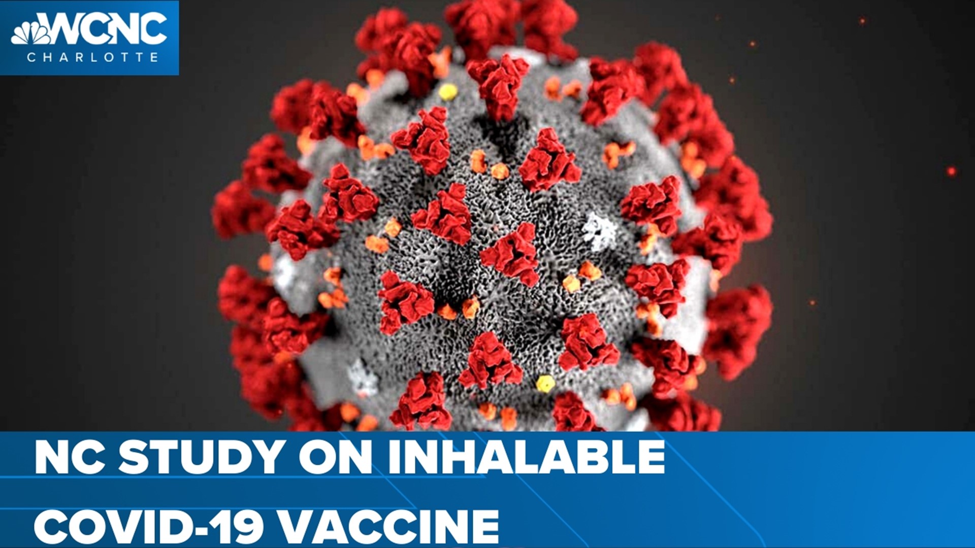 Researchers are looking to administer a vaccine through an inhaler. So far, studies have promising results in rodents.