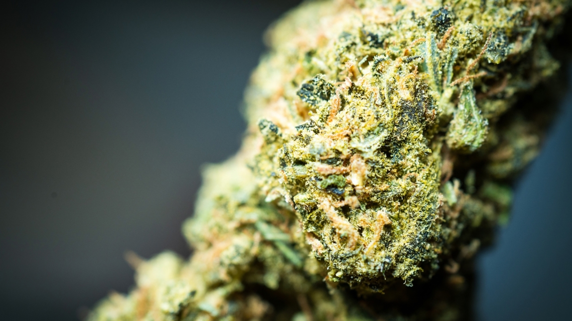 Union County officials seize drugs, candy-branded THC products in multi-agency operation