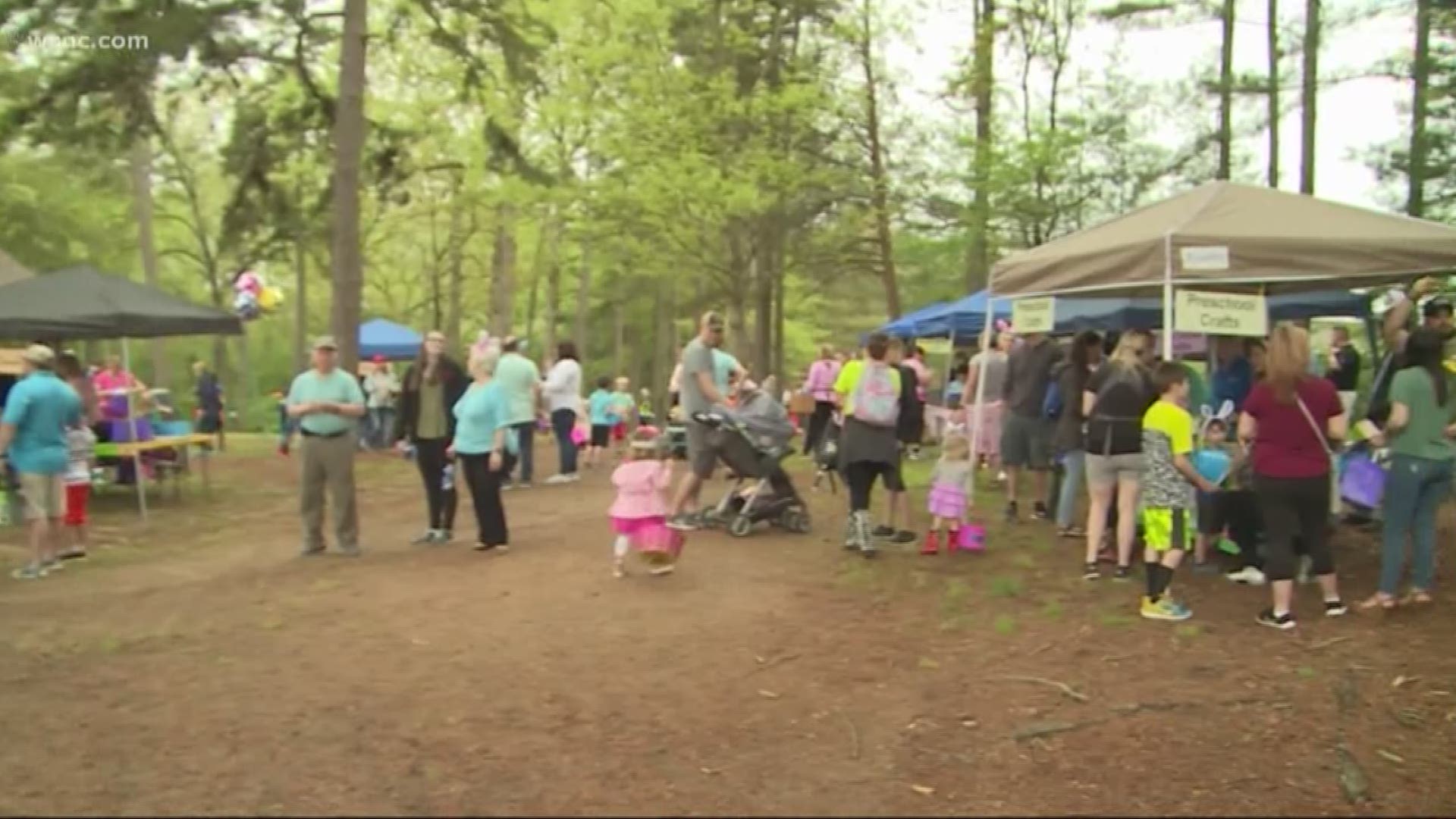 Families found more than 7,000 Easter eggs during the Mint Hill egg hunt.