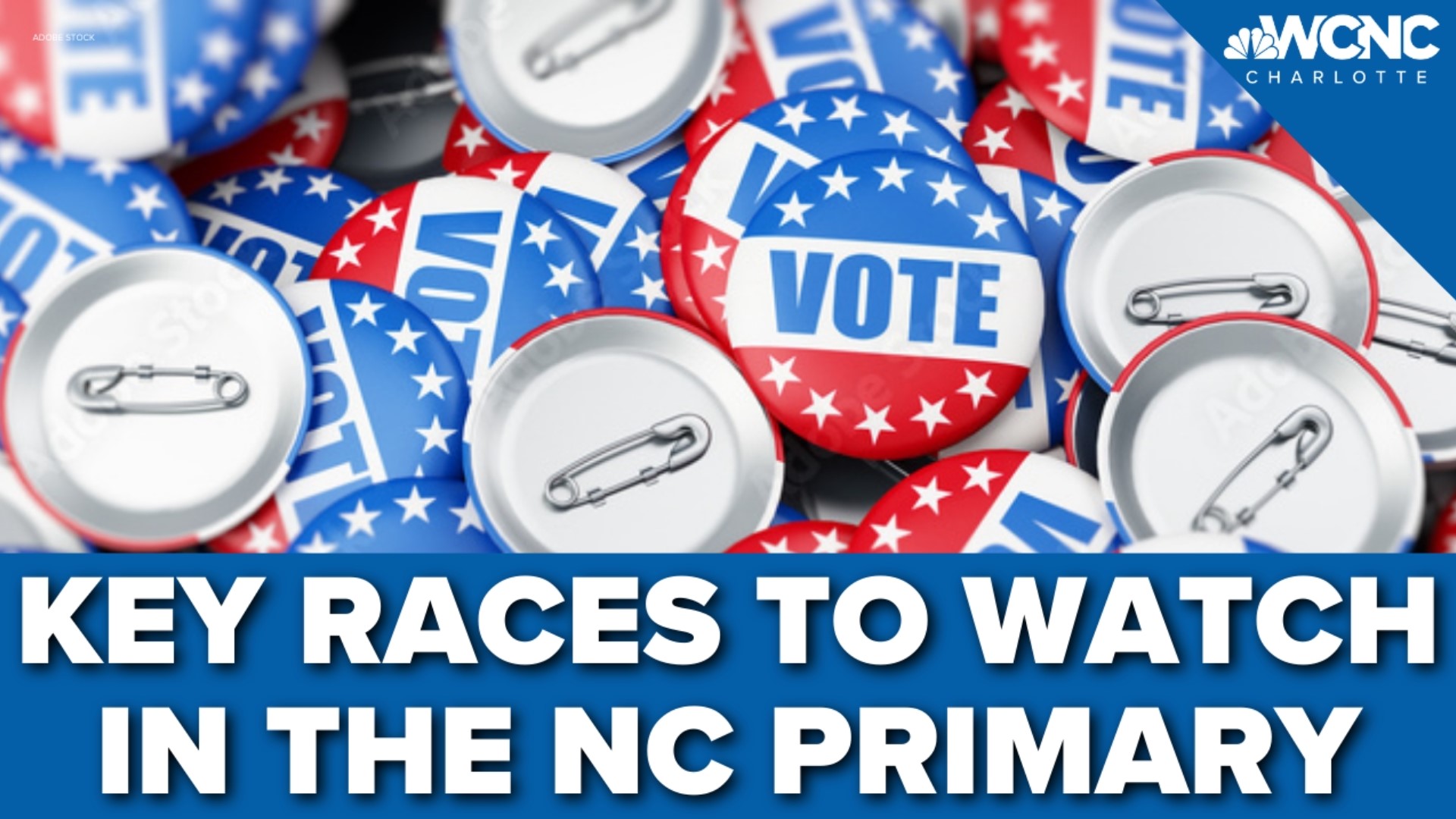 The 2022 North Carolina primary election is headlined by races in the U.S. Senate and House, but there are some important races on the local level.