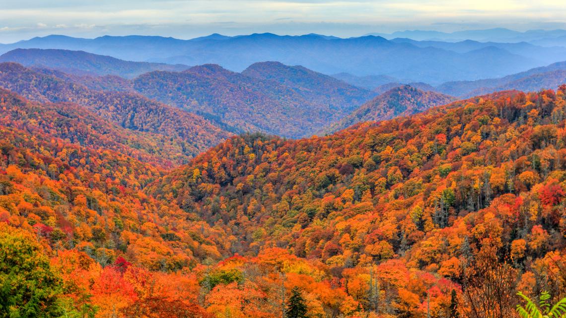 Fall color forecast: When is peak color in North Carolina for 2025 ...