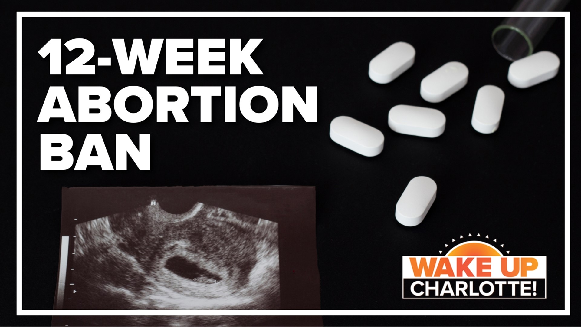 The three-fifths majority vote means a 12-week abortion ban is set to become law.