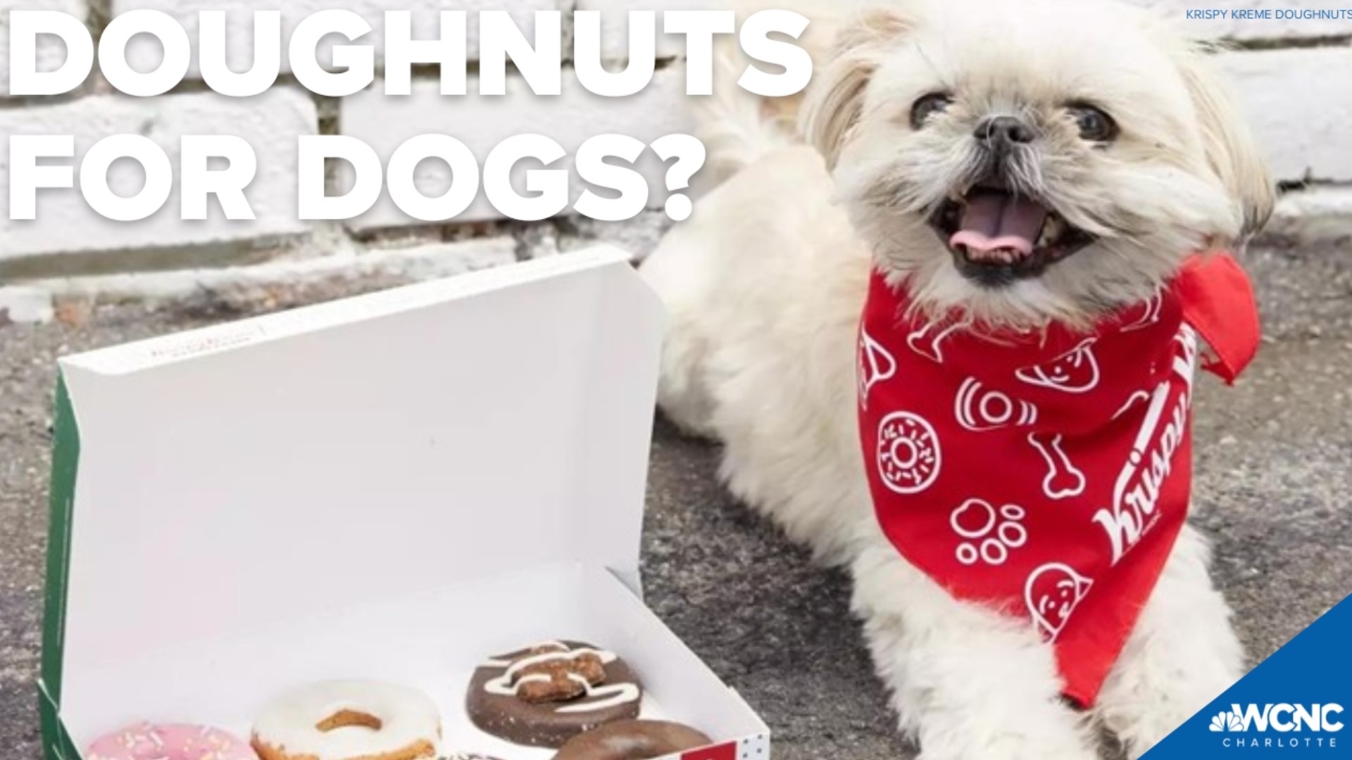 Krispy Kreme is releasing a special line of doughnuts for dogs.