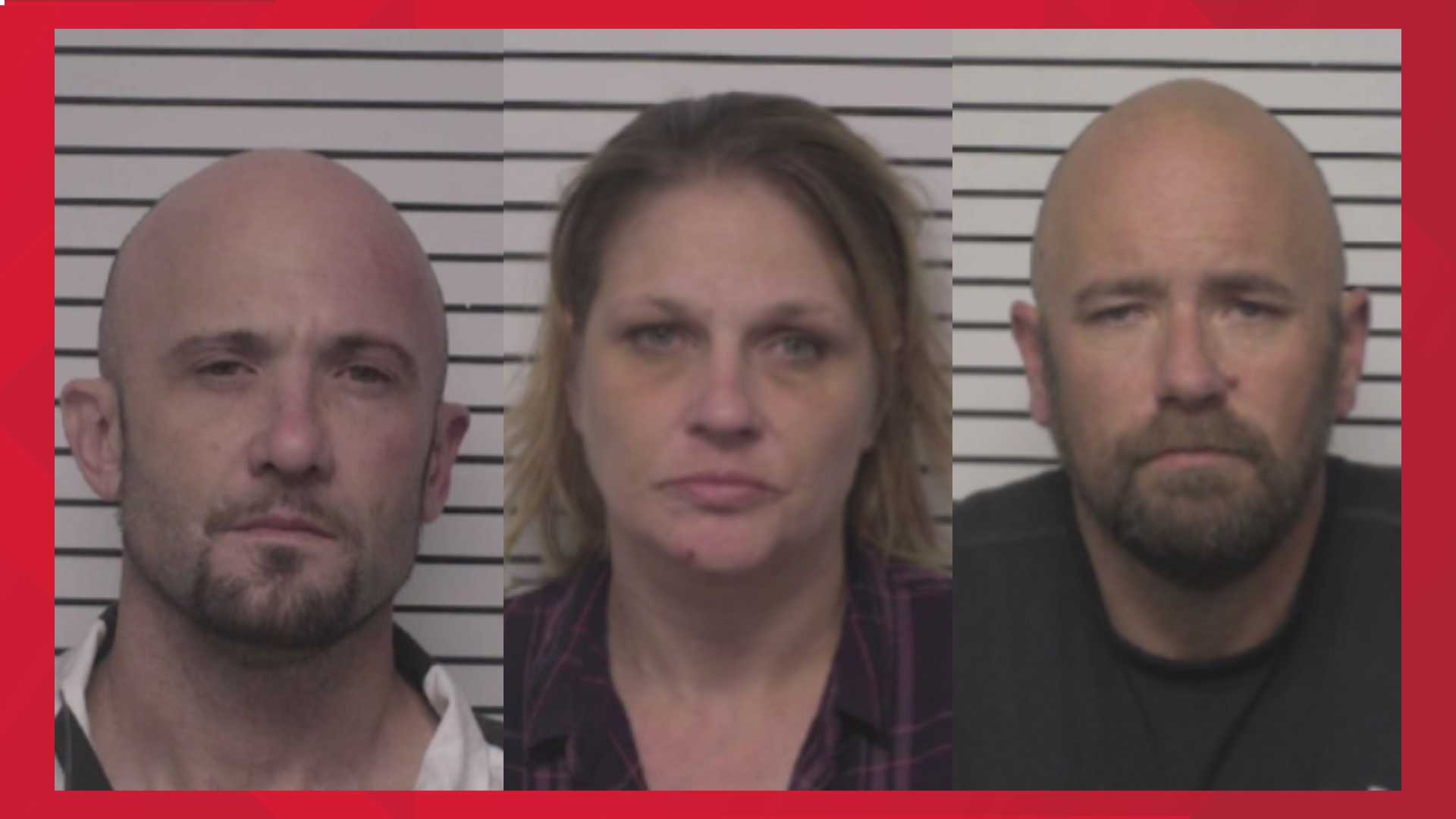 Registered sex offender arrested in Iredell County along with 2 others ...