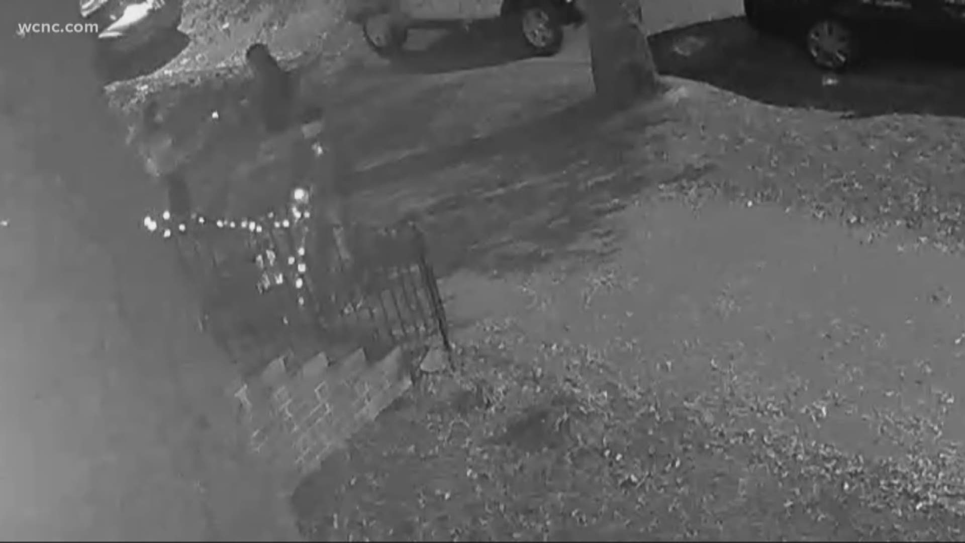 Surveillance video shows someone tearing out the Christmas lights from a South End home. The person was walking on West Bland Street with two others at the time.