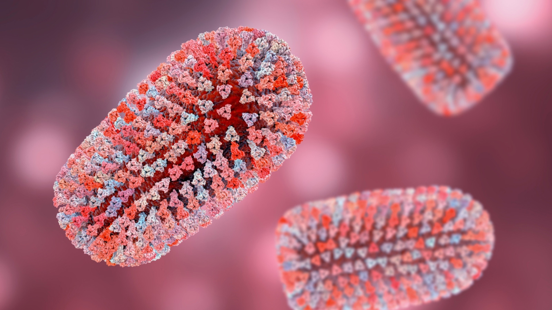 11th positive rabies case reported in Mecklenburg County. Health officials urge ...