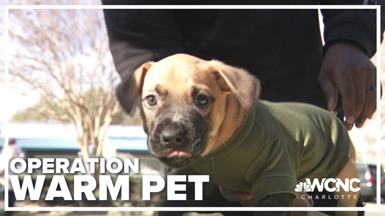 Operation Warm Pet ensures furry friends stay warm and healthy