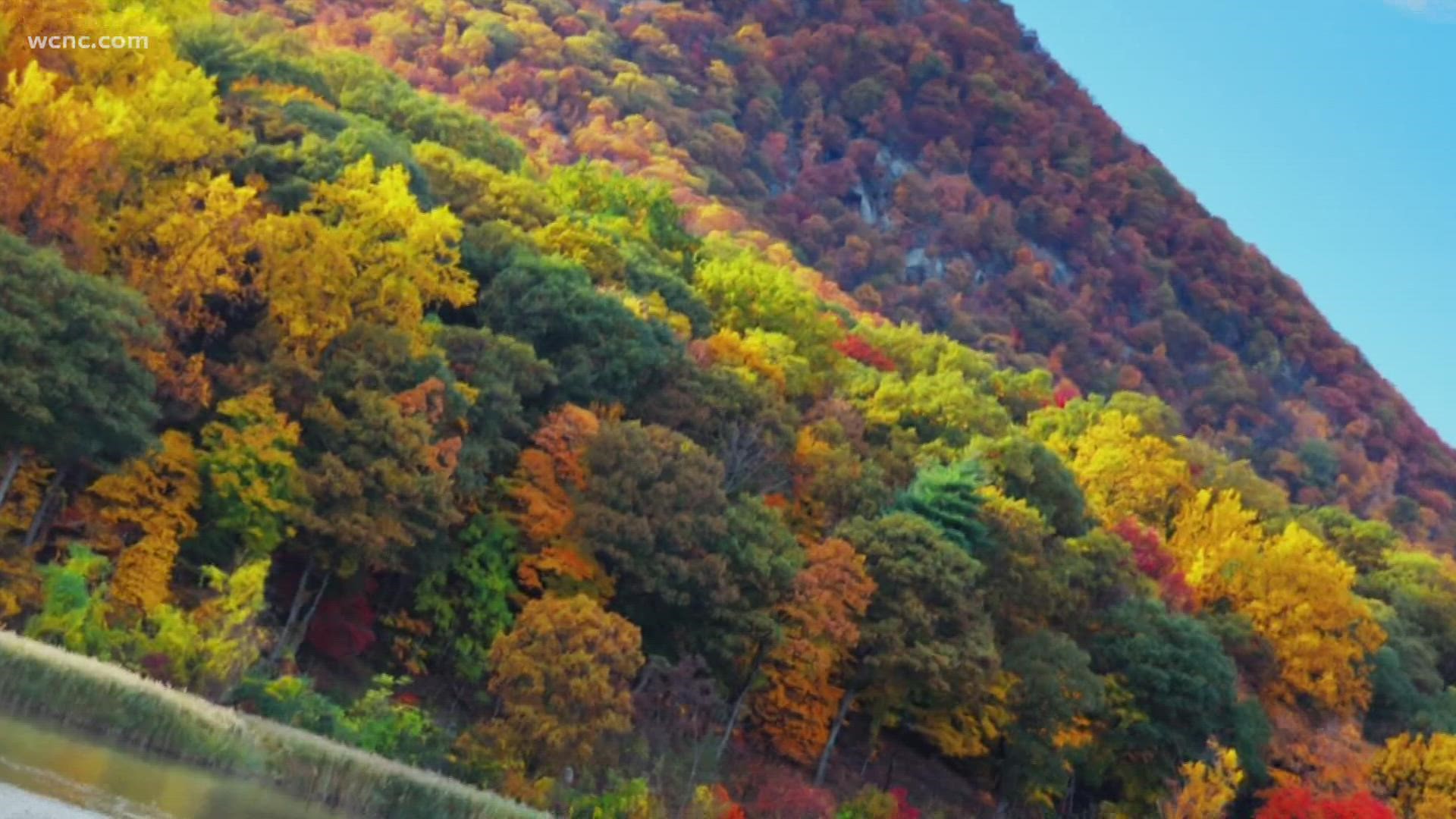 No one fall foliage display is the same and it all depends on the weather starting in the Spring. Here is why the leaves change and how weather effects the change.
