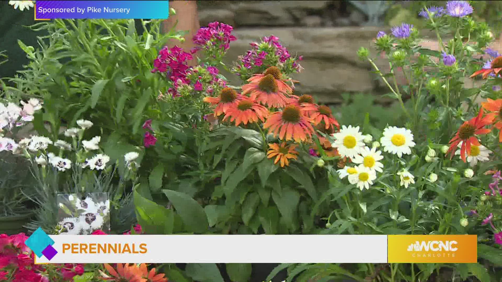 Add color, height and edibles to get your cottage garden started on the right track.