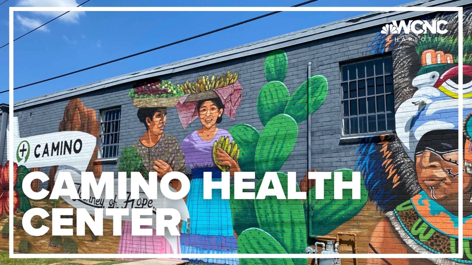 Camino Health Center is a nonprofit focused on equipping all people to live healthy lives.