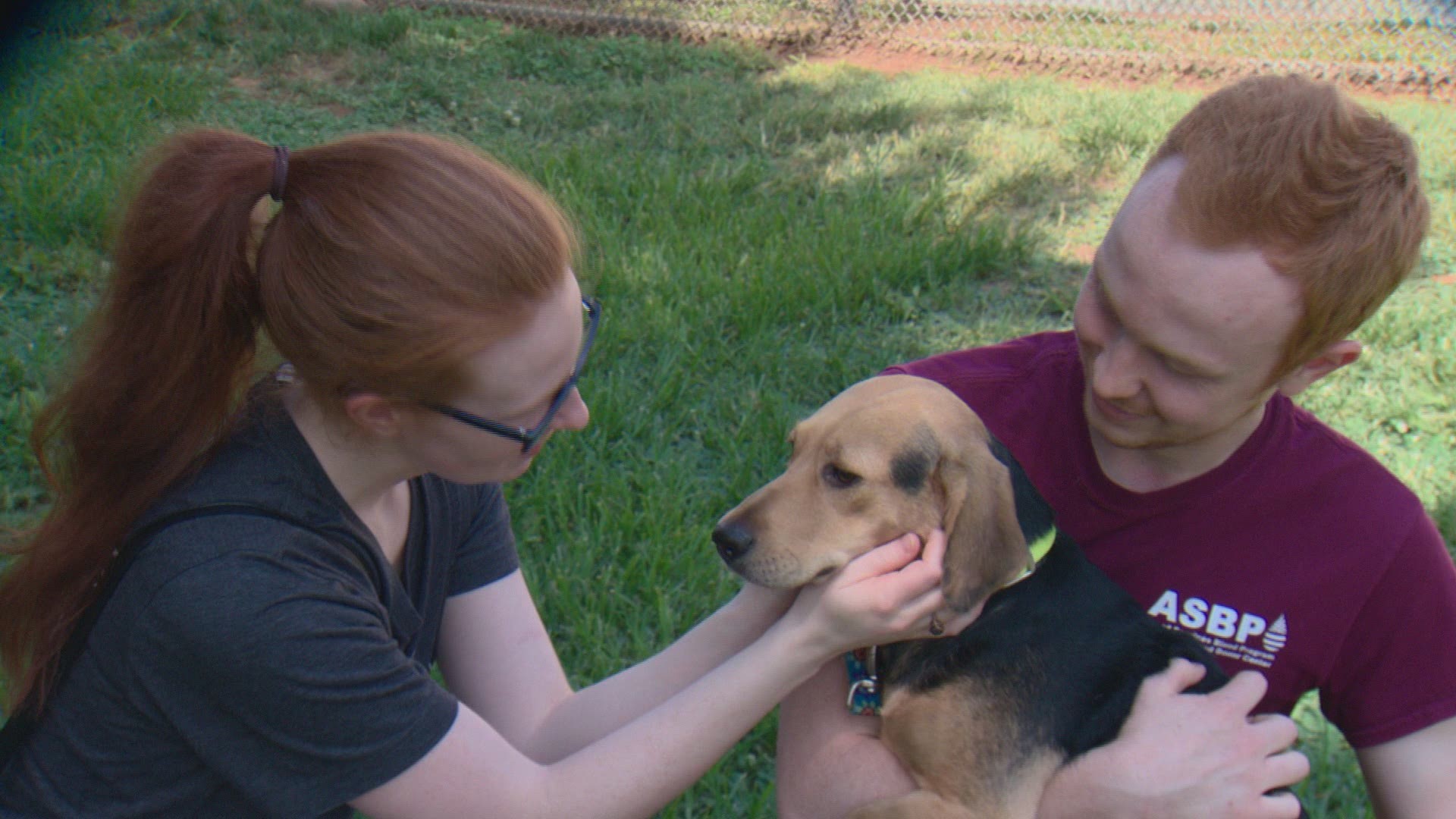 Pet Paradise and WCNC teamed up with local shelters to waive or reduce adoption fees Saturday as part of a nationwide effort to help pets find homes.