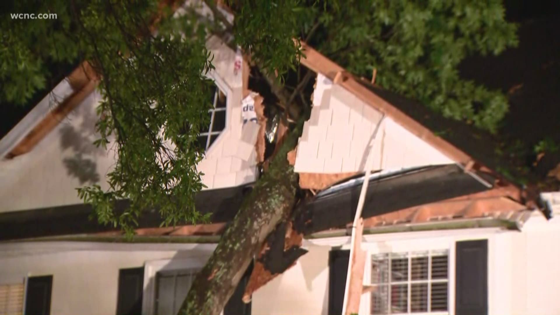 Strong storms knock down trees and power lines