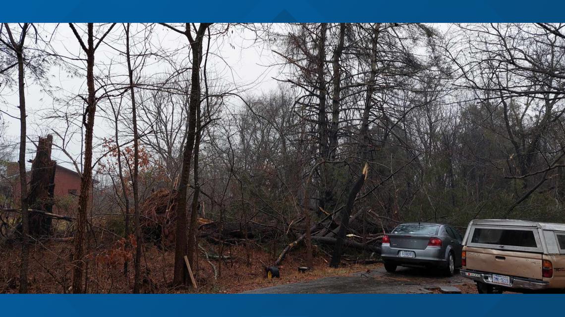 Storm Damage Reports - Jan. 9, 2024 | Charlotte, NC Weather | Wcnc.com