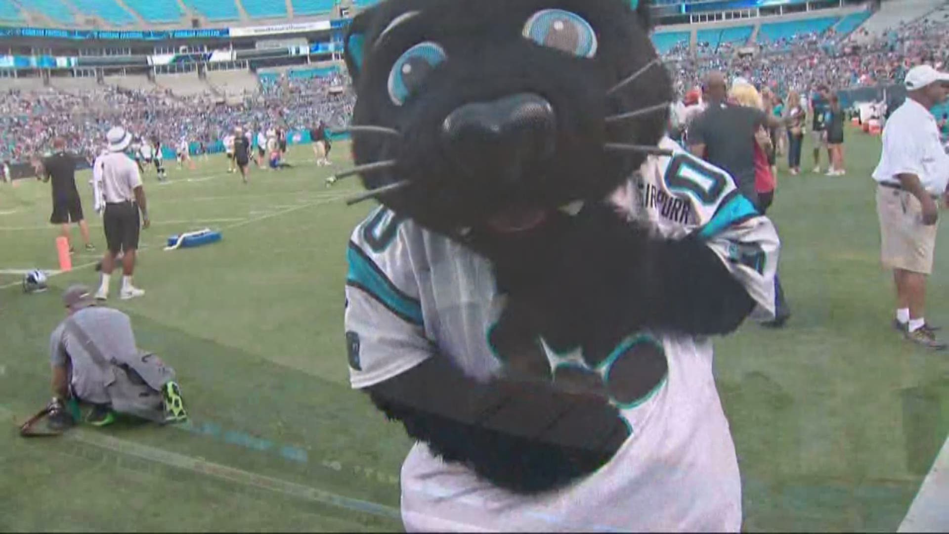 How to Purchase Tickets for Carolina Panthers Fan Fest