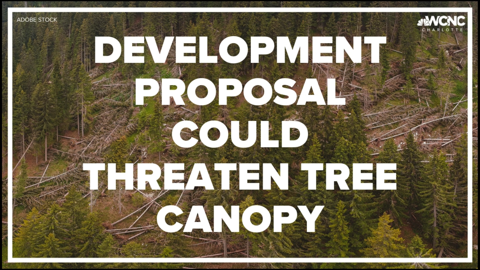 Article 20 of the UDO sets regulations for removing large trees, but the tree canopy is rapidly declining