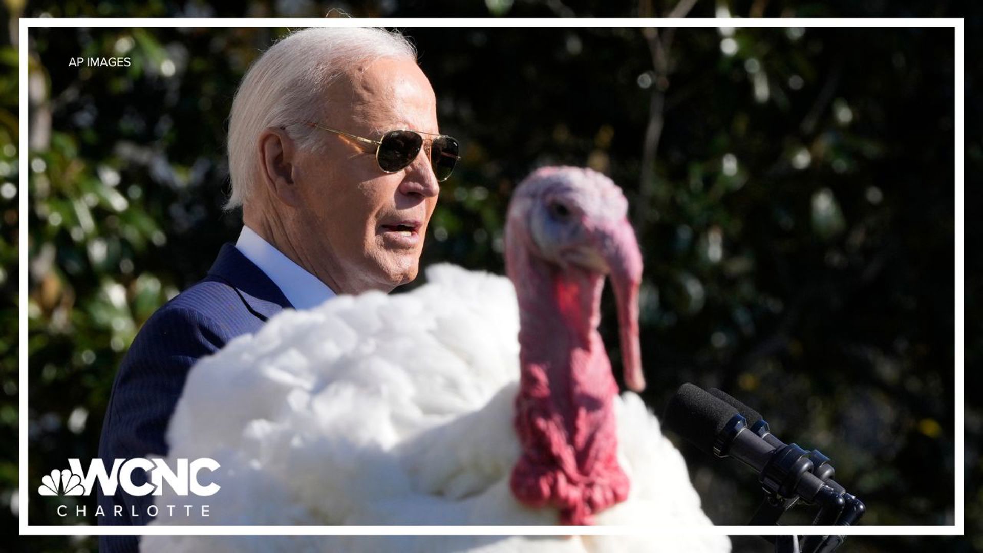 President Joe Biden kicked off his final holiday season in the White House by pardoning two turkeys from the Thanksgiving dinner table.