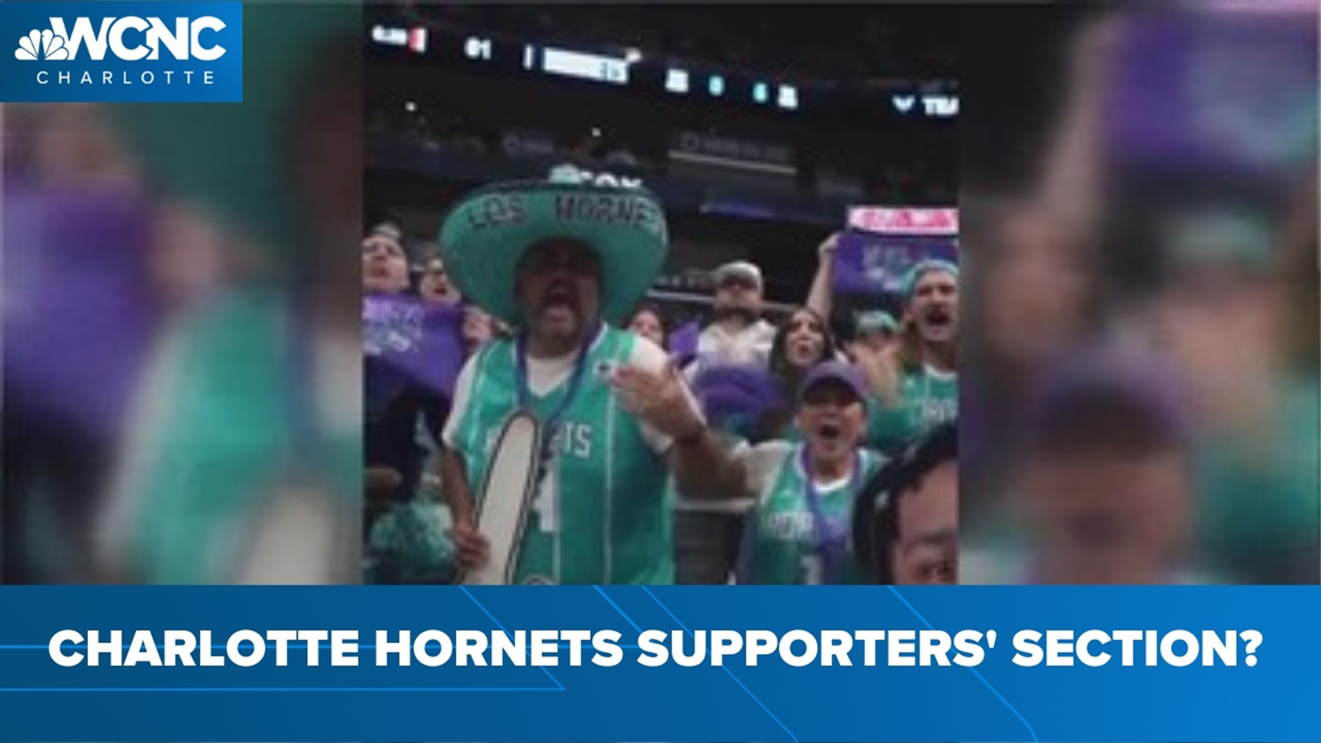 Could the Hornets get their own supporters' section?