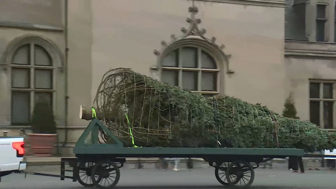 Biltmore Hosts Christmas Tree Arrival Ahead of Reopening