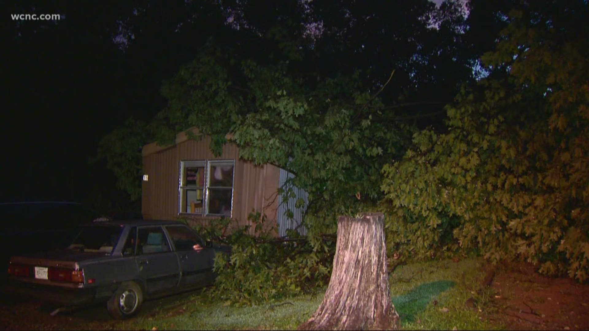 It happened around 8 p.m. Saturday in the 5200 block of Victoria Ave. Our crew on the scene said many trees were down in the area.