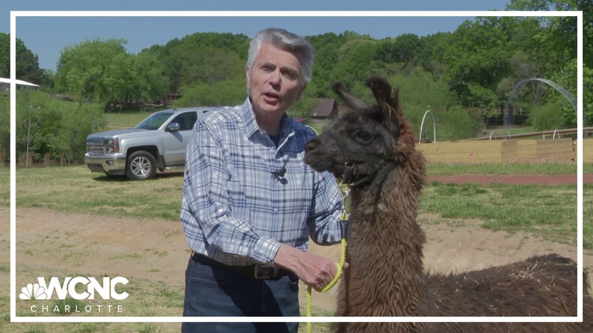 The Crandall Bowles Children’s Farm covers over 18 acres, and it’s perfect for field trips, birthday parties and families who love the outdoors.