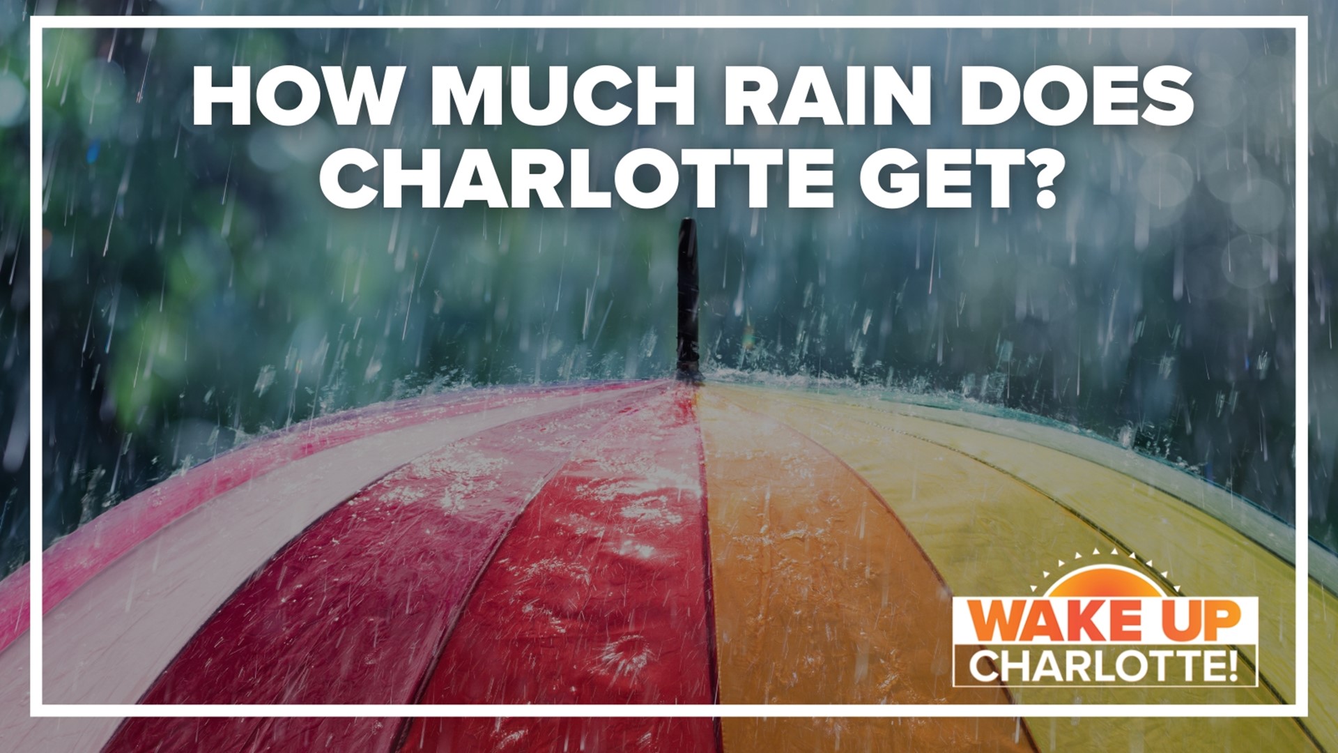 Over the past few weeks, we have seen our fair share of summer storms. How do we compare to other cities when it comes to the amount of rainfall?