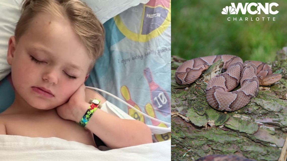 4yearold recovering after copperhead bite