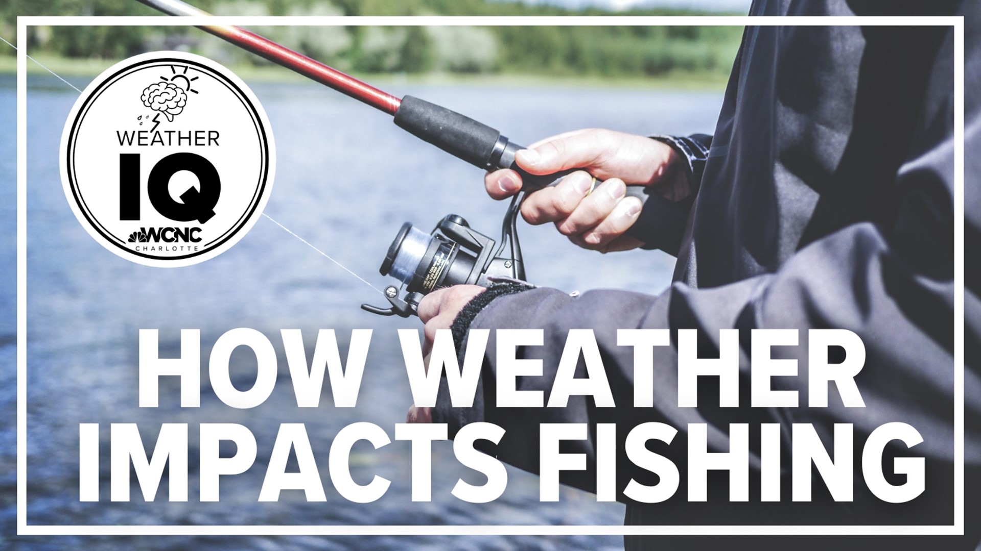 Before casting your next fishing line, consider the wind, water temperature and air pressure.