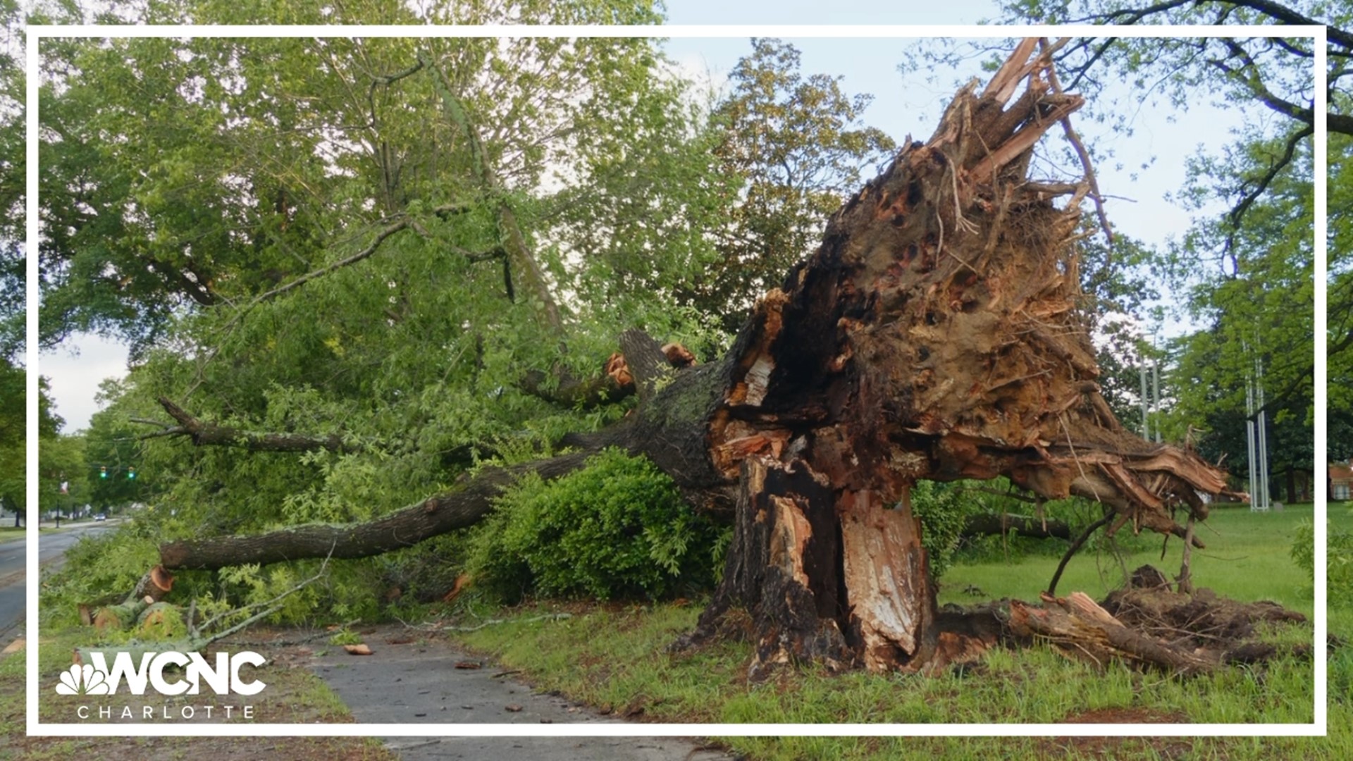 An intense hail storm in Rock Hill on Saturday left widespread damage across the city.