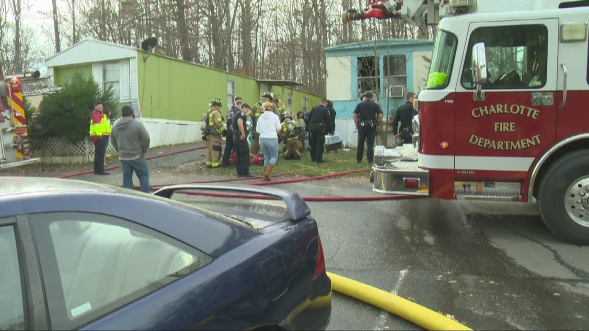 No one was home at the time of the fire, but five to six dogs were rescued from the house.