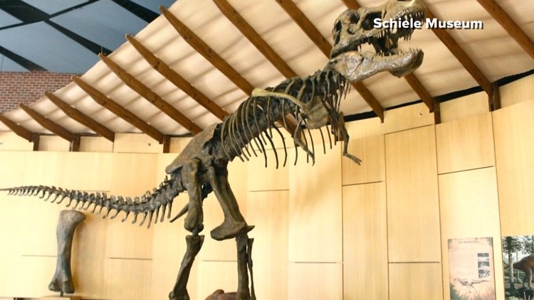 See dinosaurs, space, and more at the Schiele Museum in Gastonia