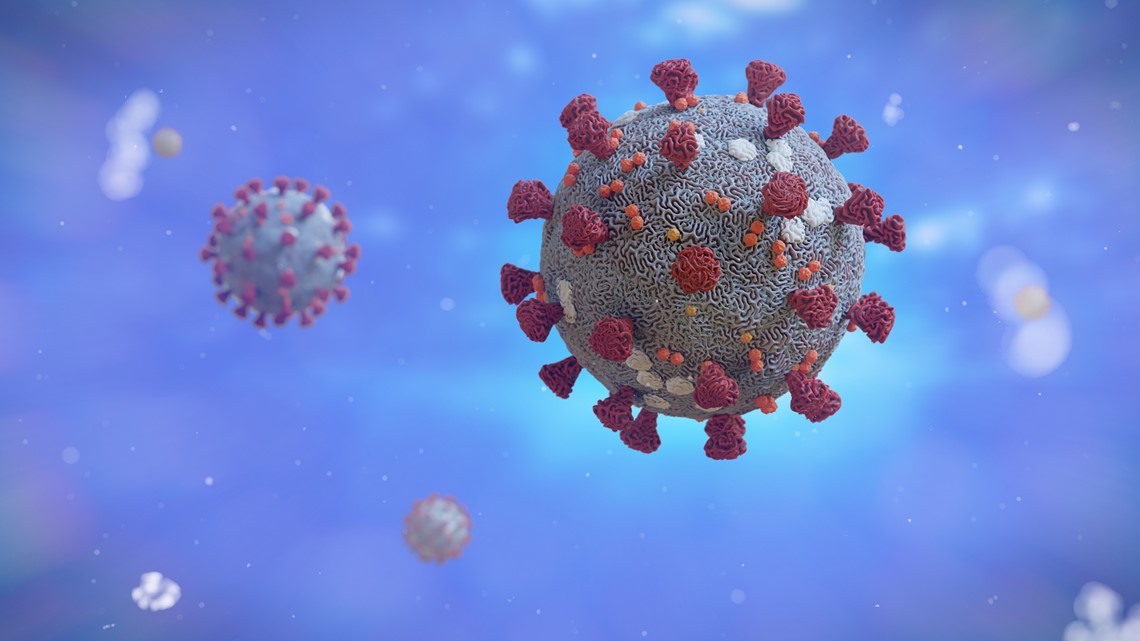 What Happens When You Catch More than One Virus?