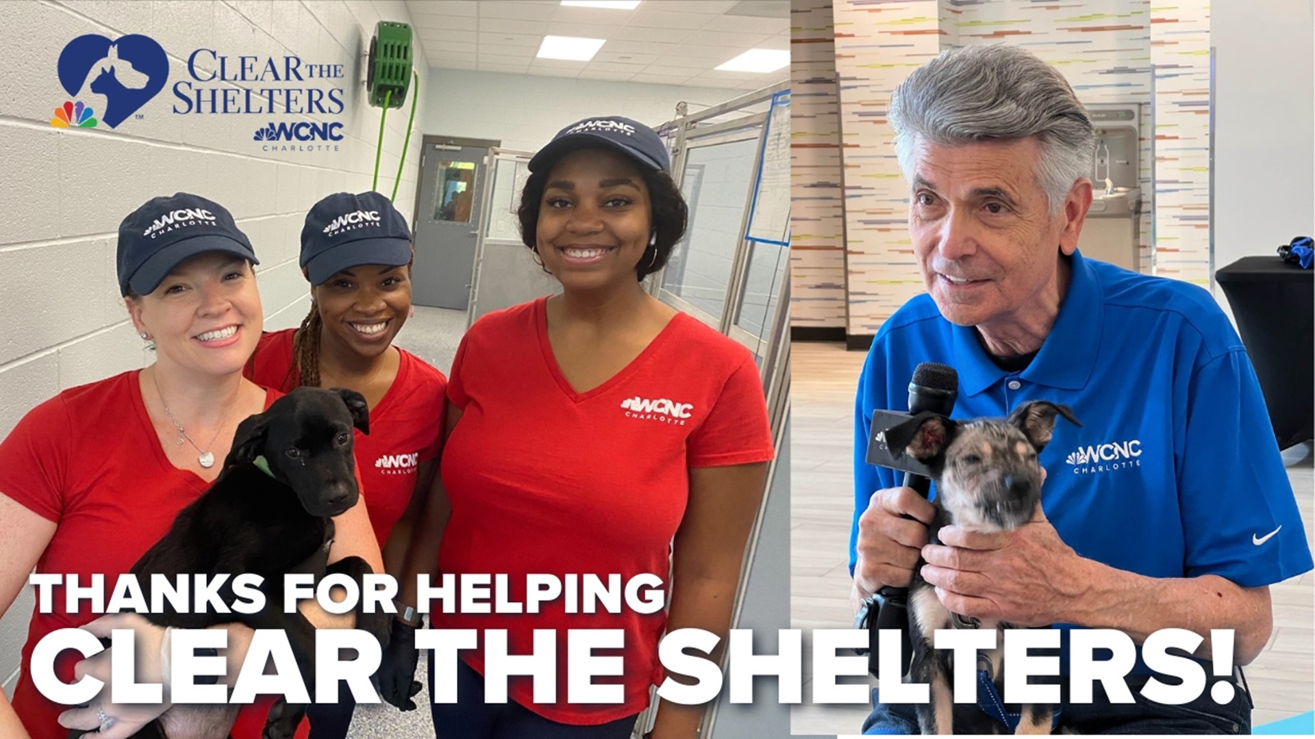 Adopt or donate money to help Clear The Shelters in Charlotte 