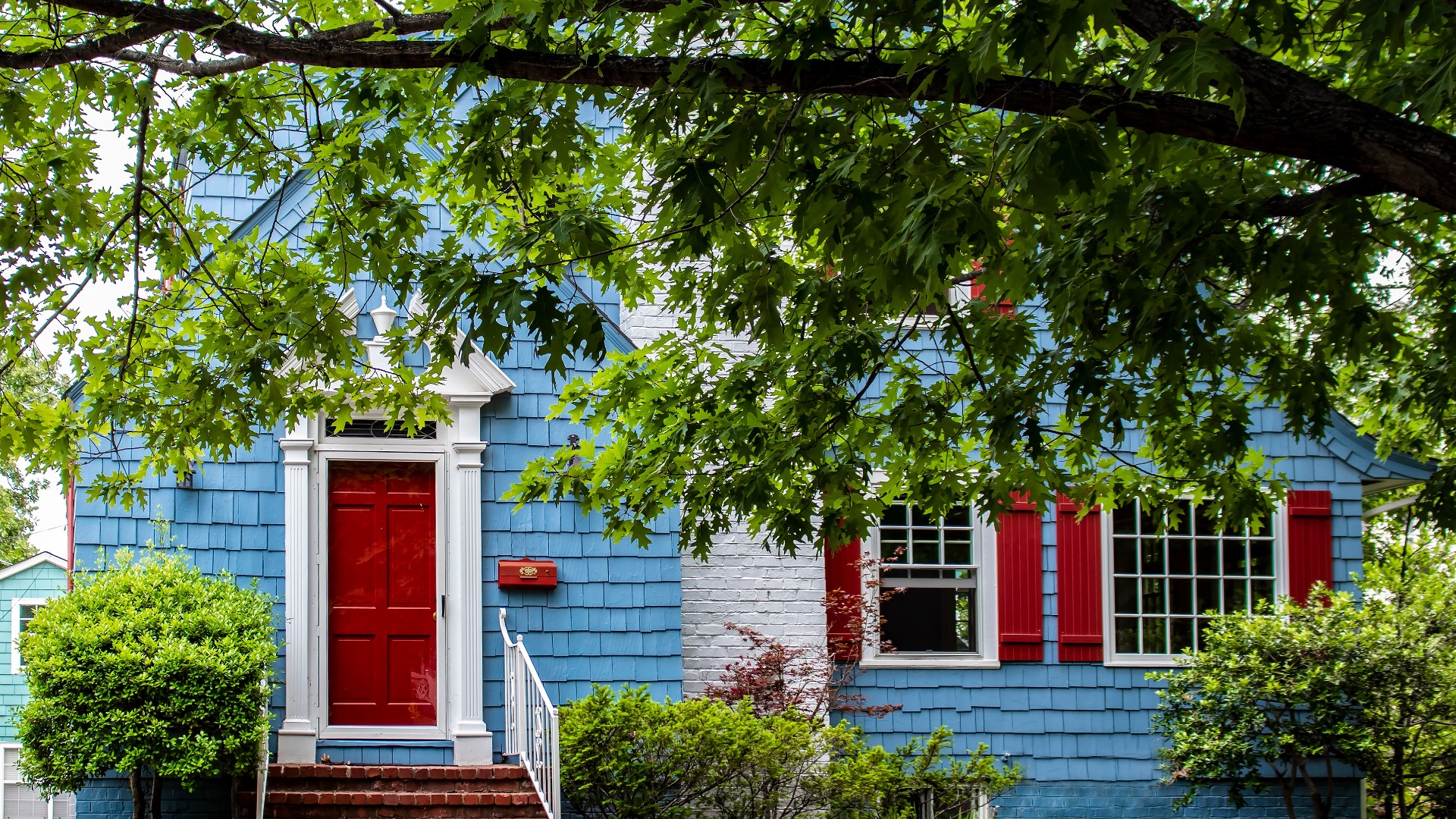 Charlotte leaders are working their way through the Unified Development Ordinance (UDO). There's a section about tree removal that has a lot of questions.