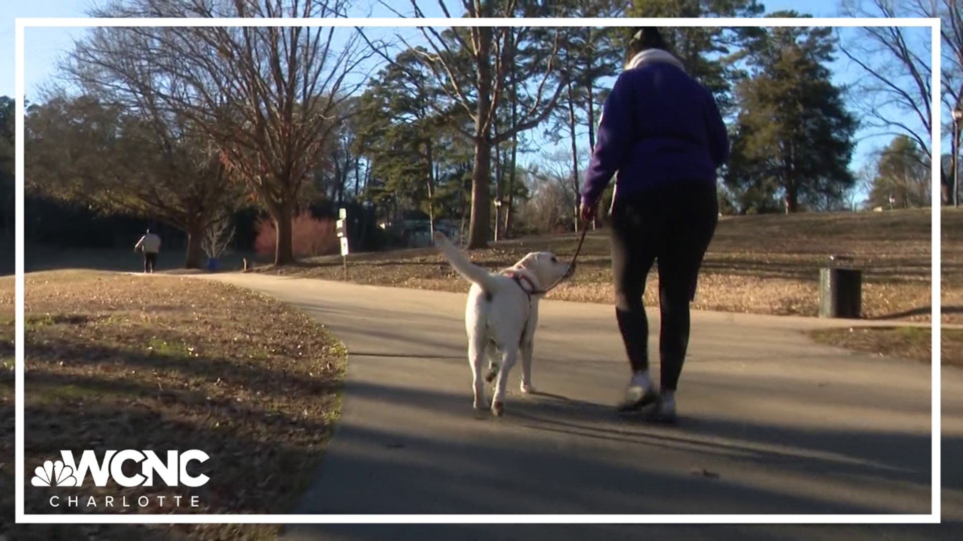 Mecklenburg County Parks and Recreations say this year's projects include the most miles of green space they’ve had in nearly 50 years.