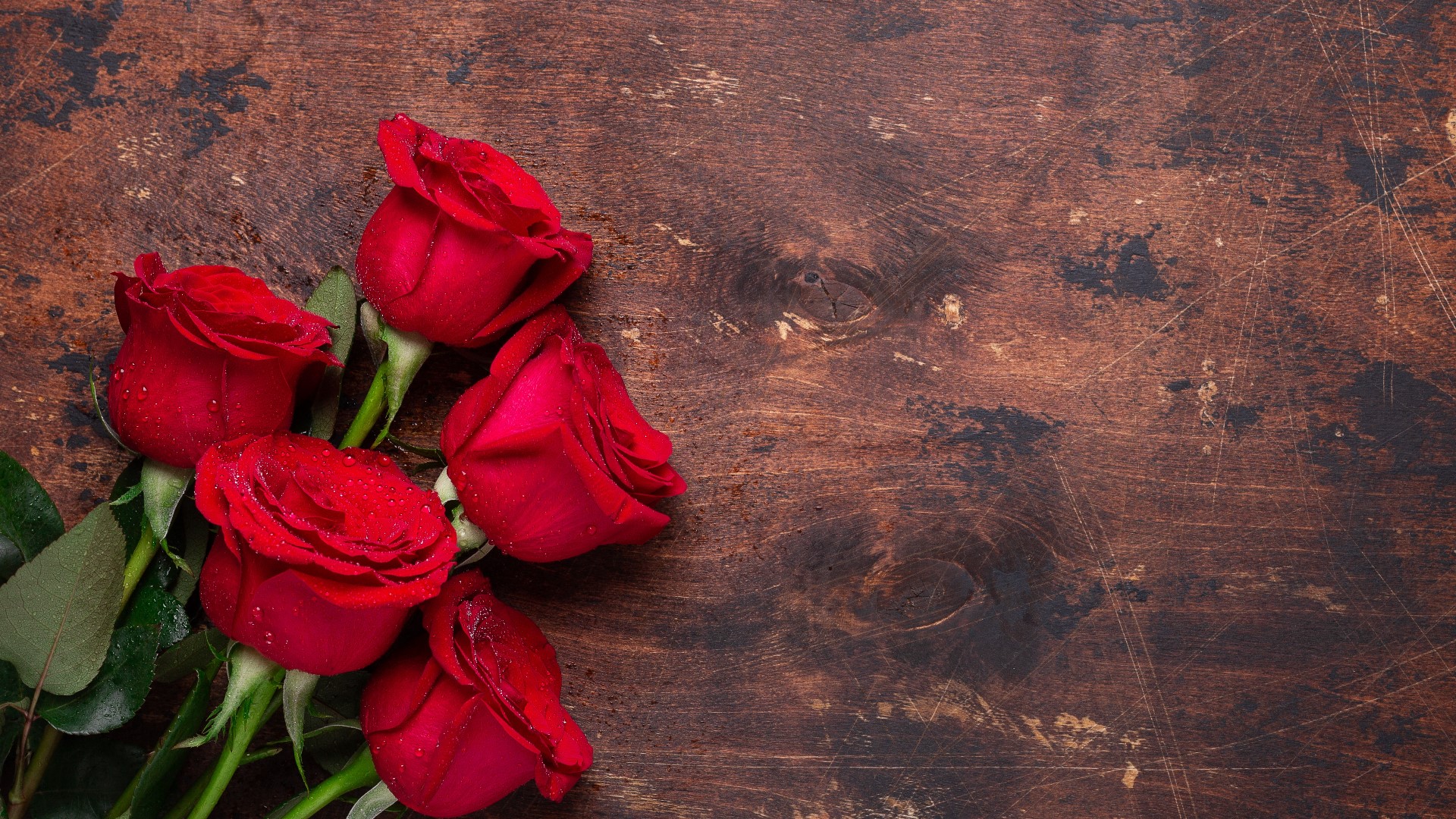 How cows could be the key to helping cool the earth | wcnc.com