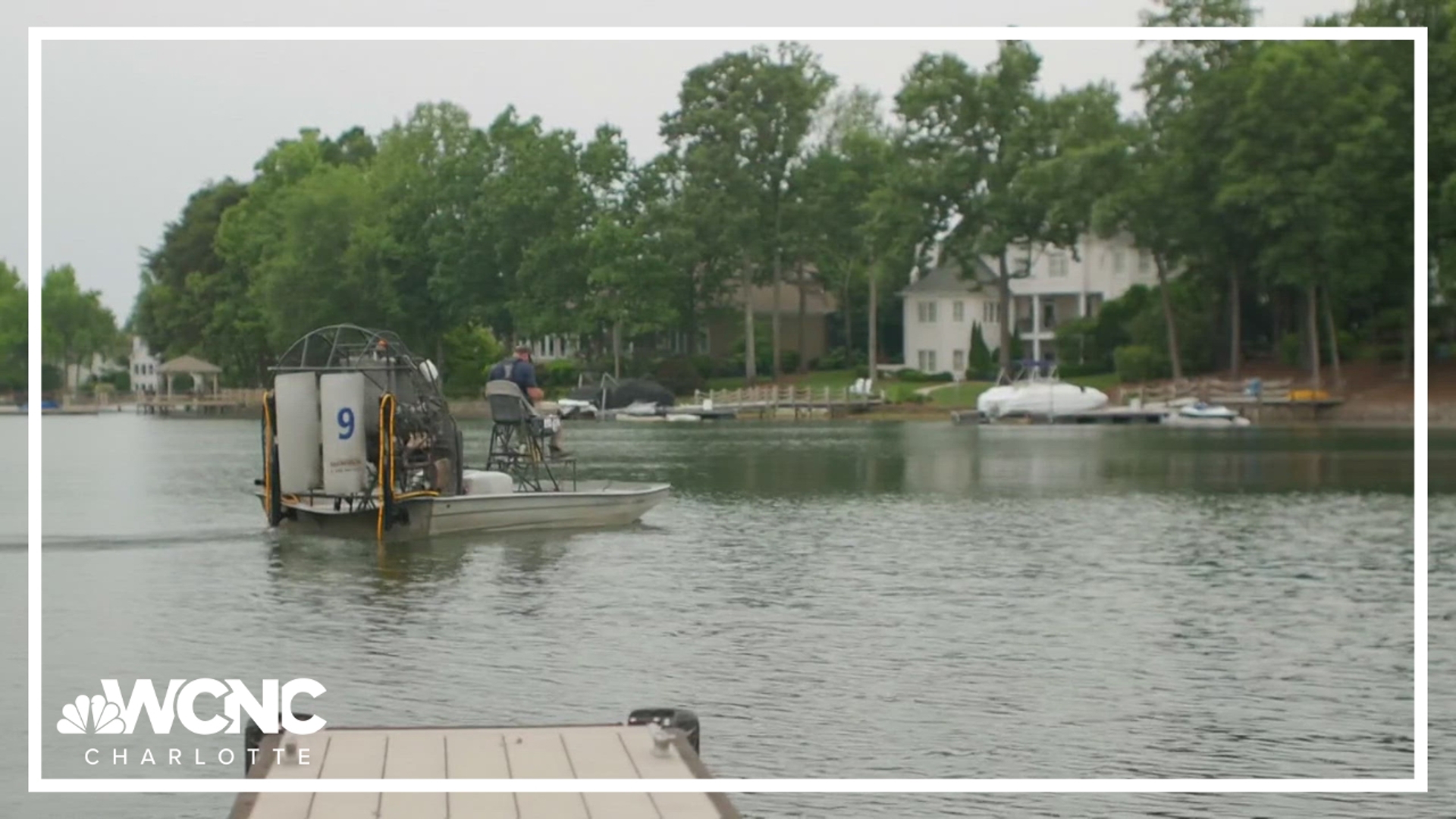 Harmful algae blooms have been found in lower Lake Norman, Charlotte-Mecklenburg Storm Water Services announced on Wednesday.