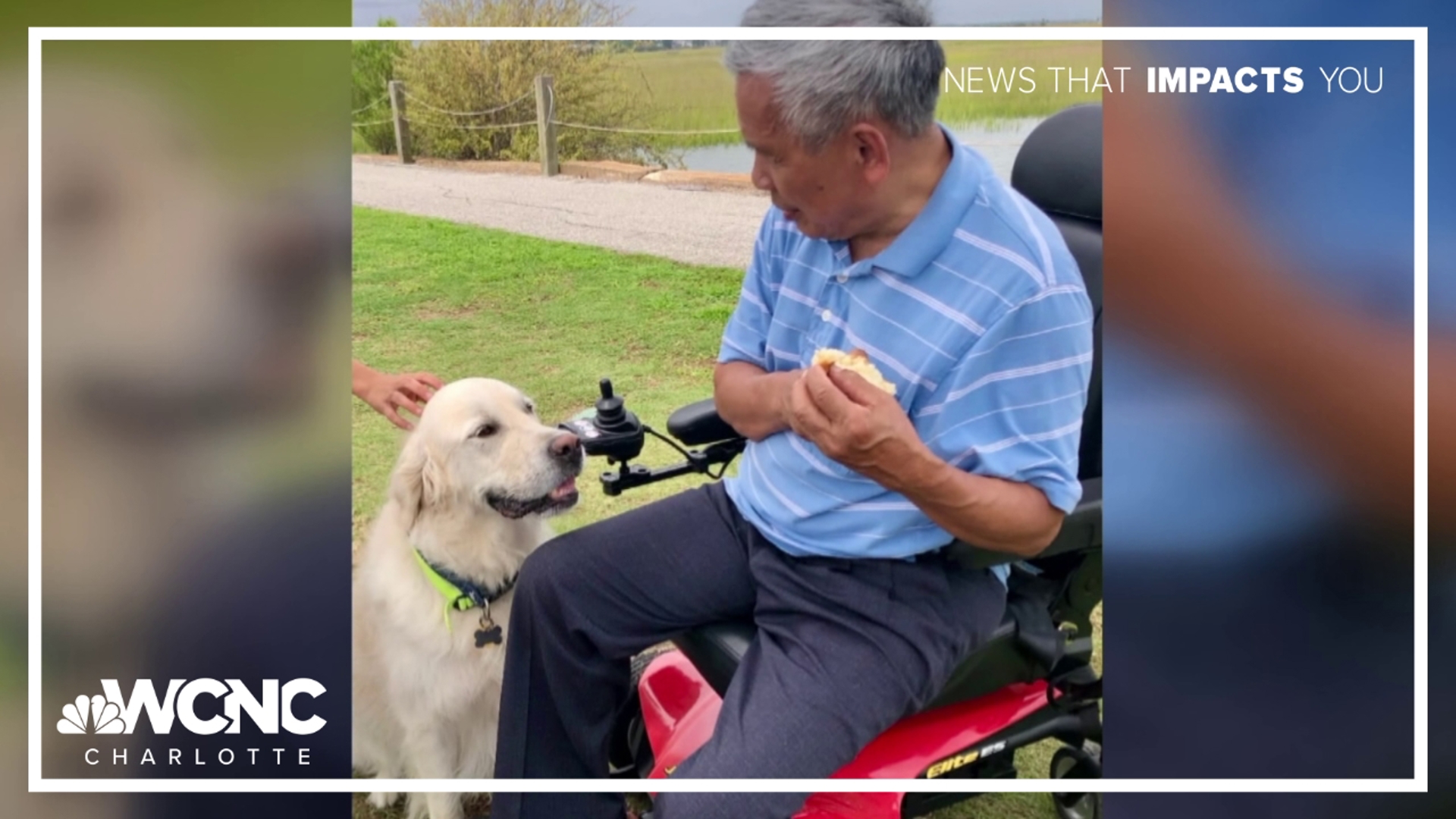 76-year-old man in wheelchair hit and killed in Charlotte, raise ...