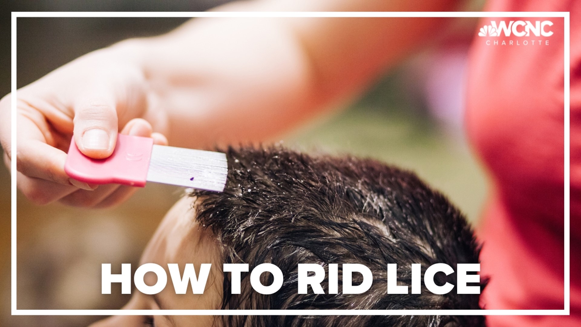 Preventing the spread of lice among kids 