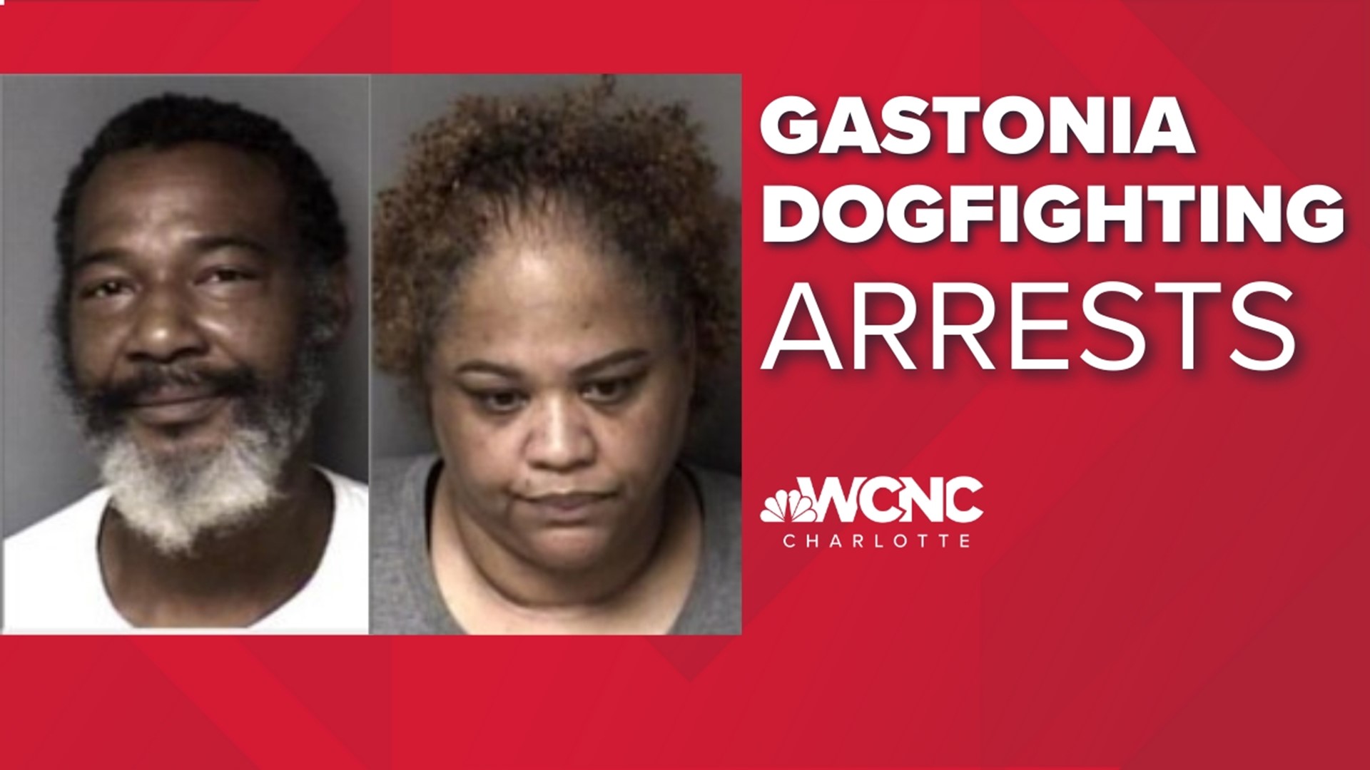 A man and woman were arrested after 14 dogs were taken from a home earlier this week.
