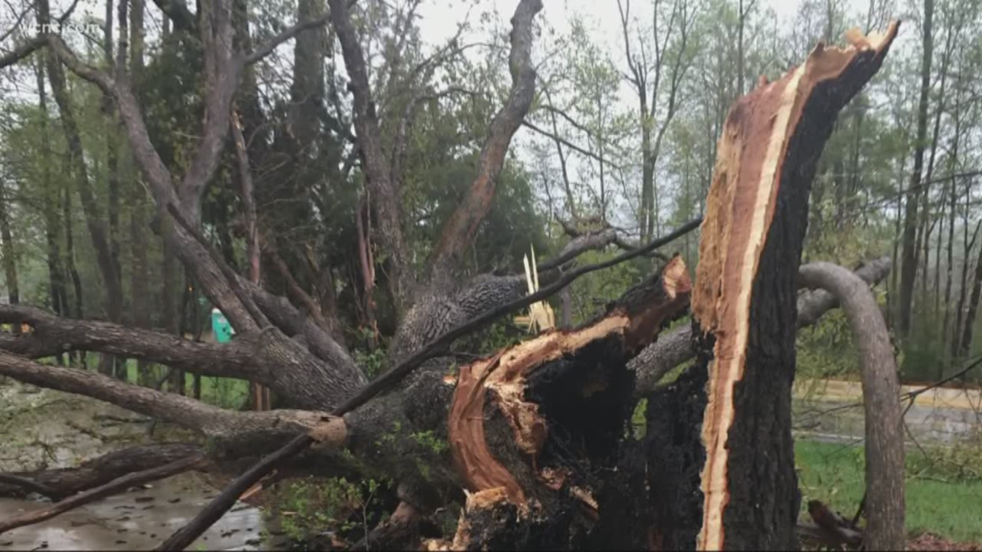 Severe storms could have drastic effect on Charlotte power lines | wcnc.com