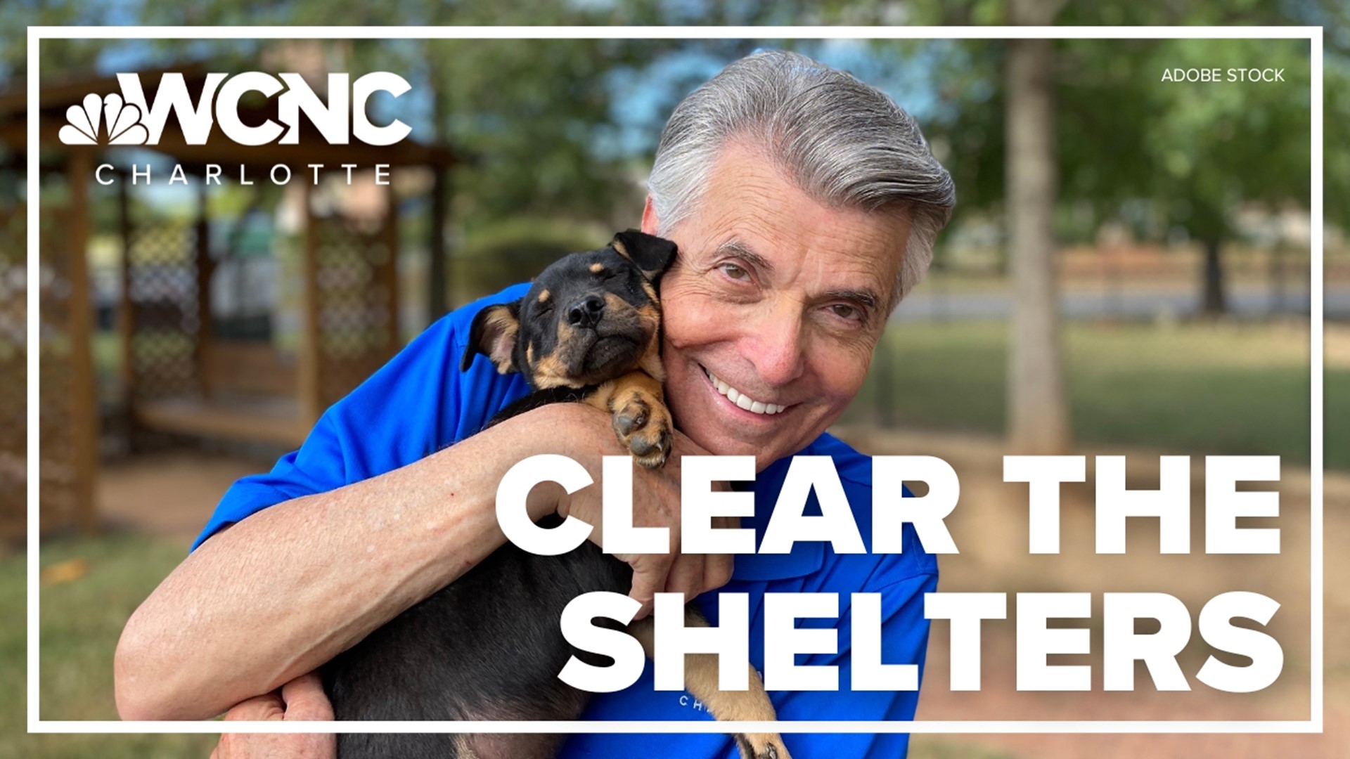 WCNC Charlotte's Larry Sprinkle has more on the hard work happening at the Lincoln County Animal Shelter.