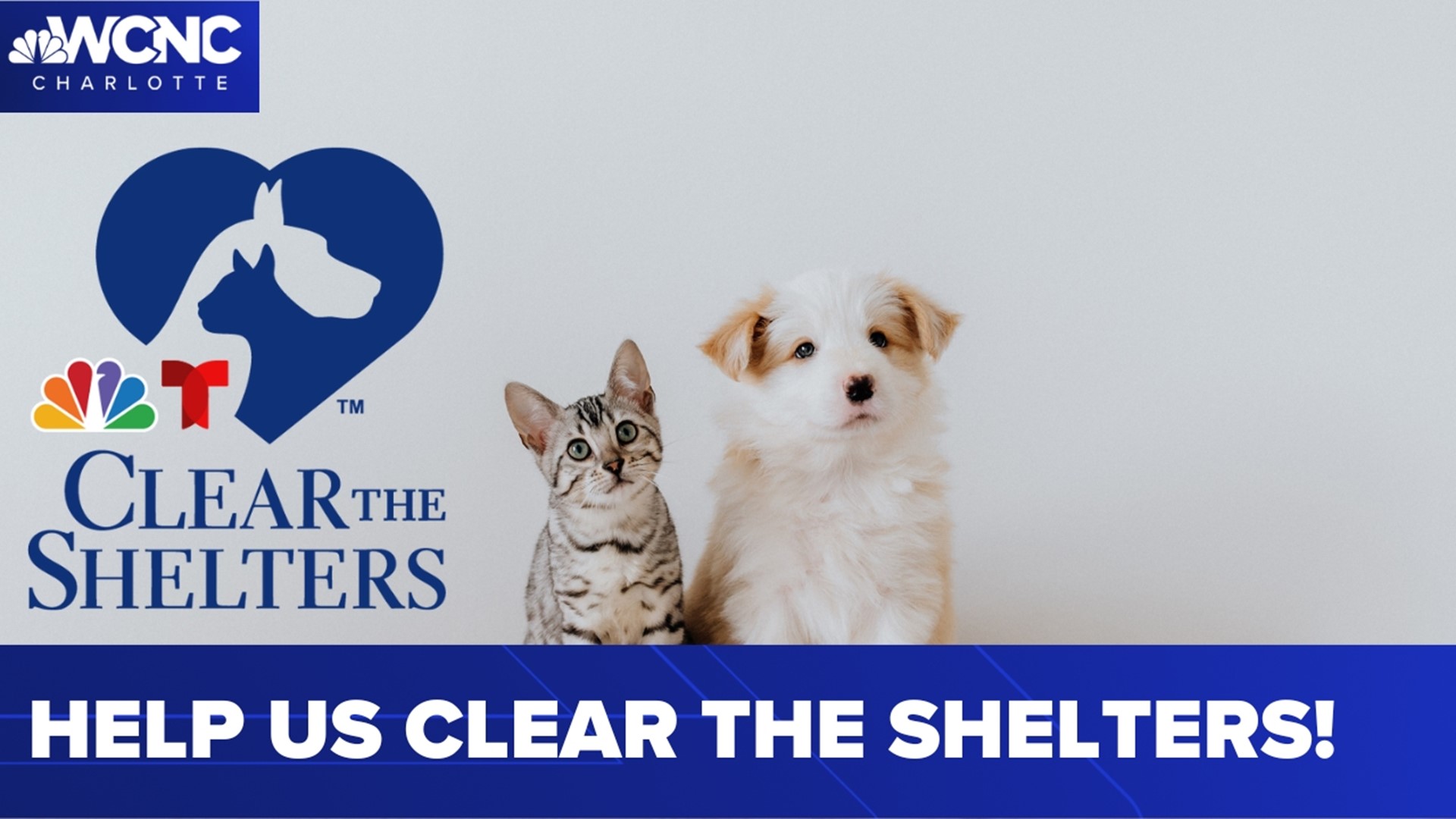 Brittany Van Voorhees shares how you can help WCNC Charlotte and area shelters!