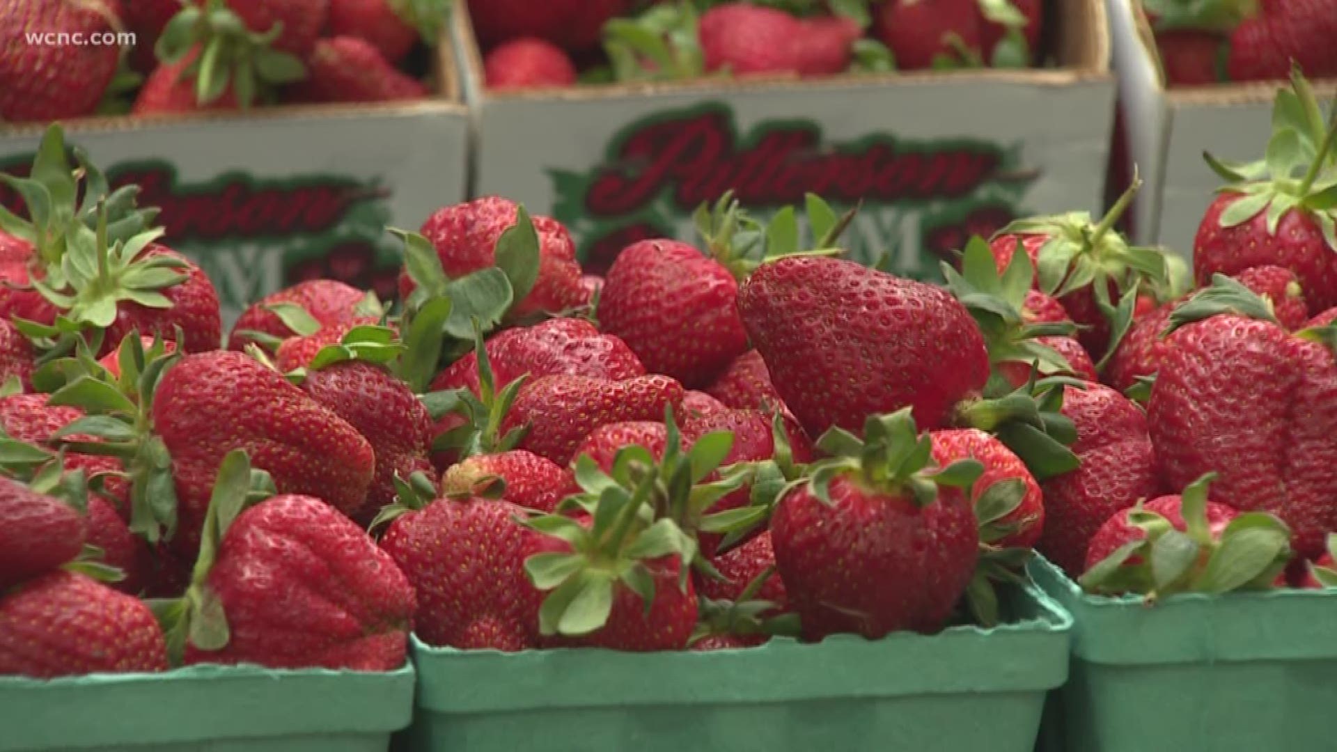 It’s strawberry season and Jason Stone from Unity Farms shares how you can get the freshest ones at local farms.