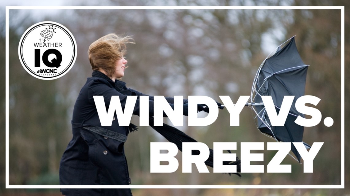 What is the difference between windy and breezy?