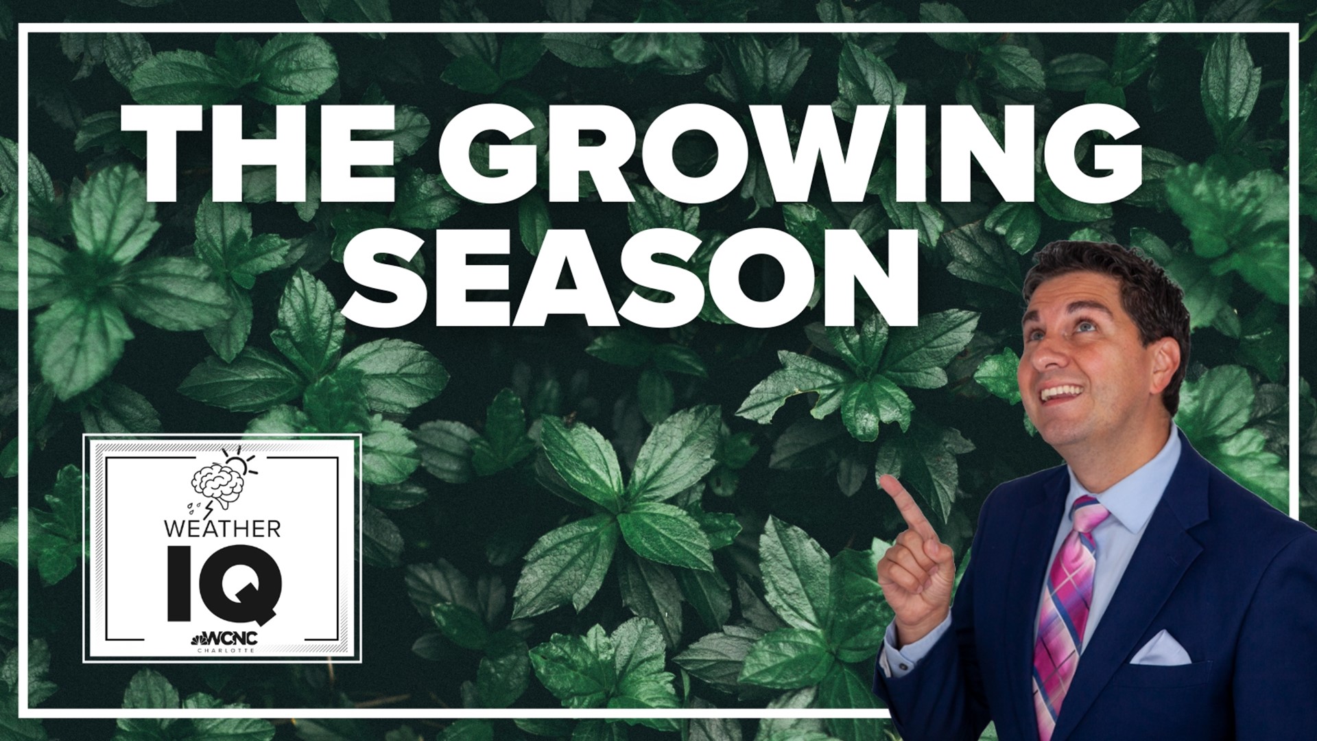 What is The Growing Season?