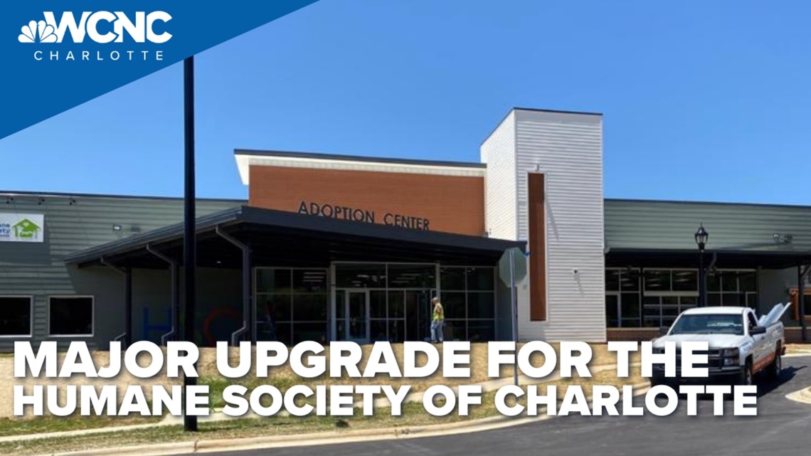 Major upgrades for the Humane Society of Charlotte