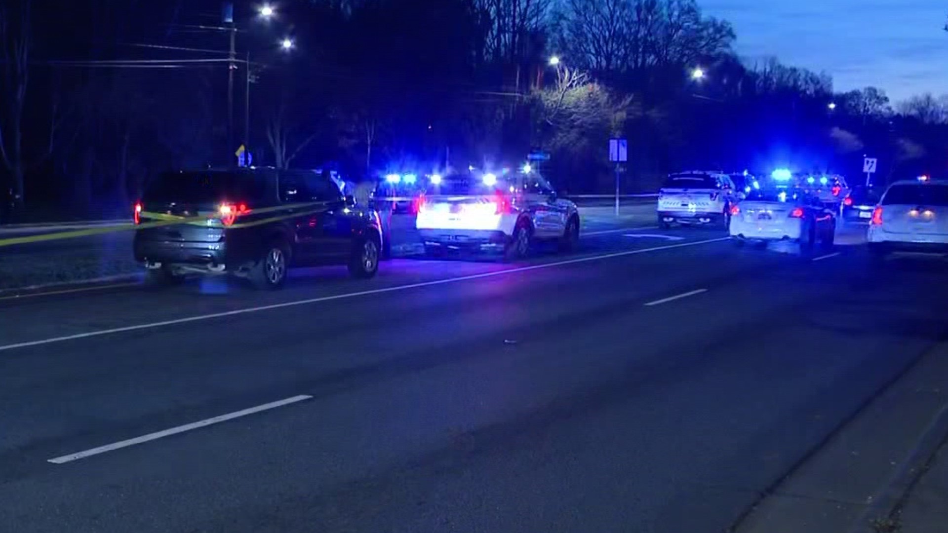 Police chase ends with serious crash into tree on Albemarle Road | wcnc.com