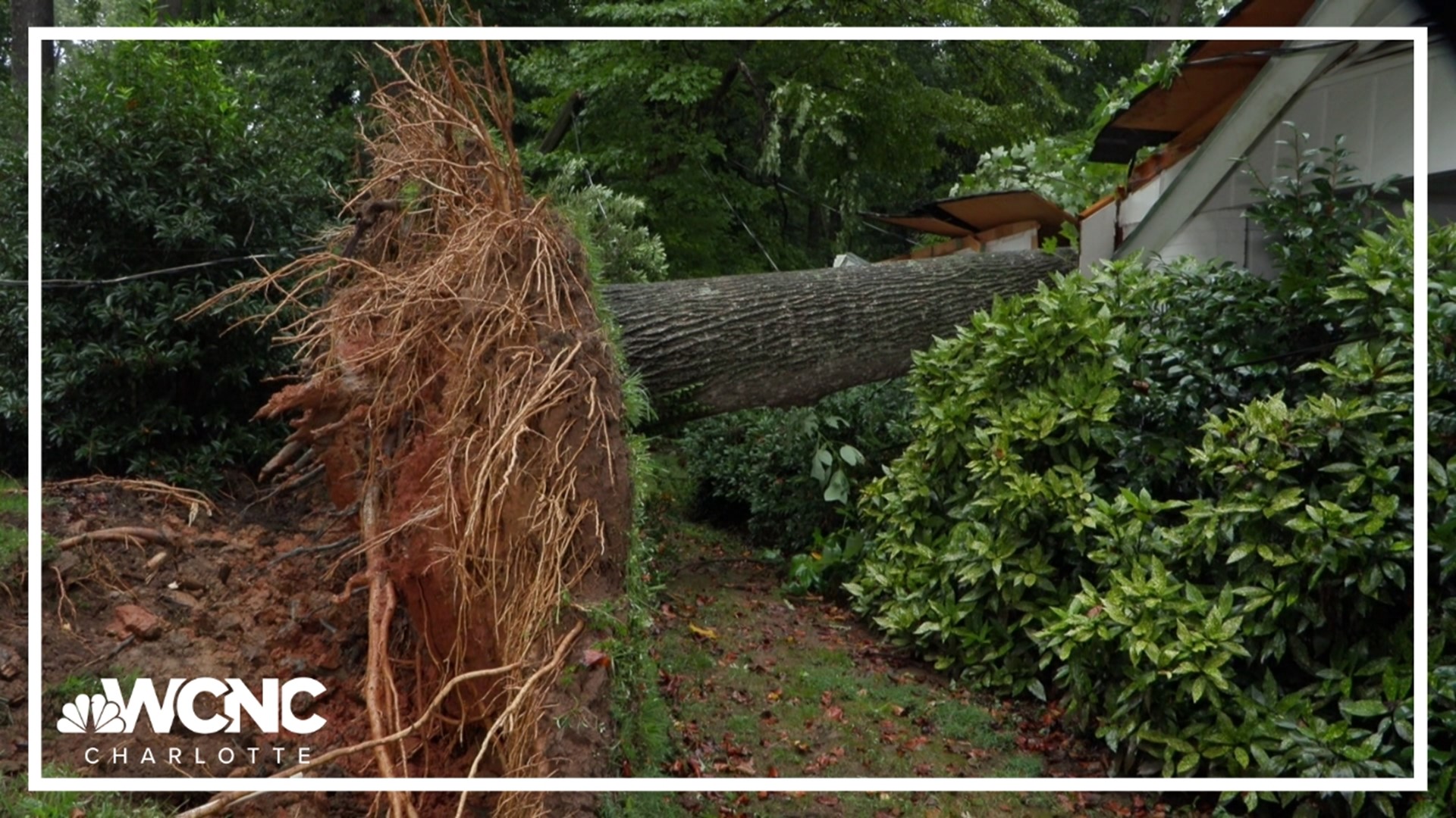 After this week's round of storms, homeowners are advised to be on the lookout for scammers.