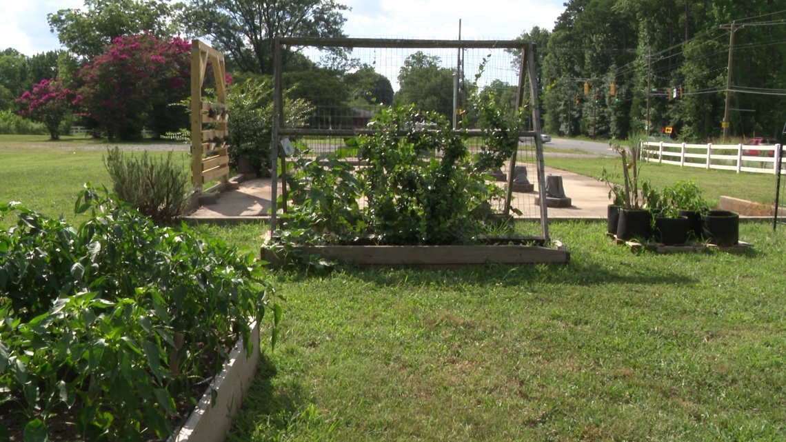 Seeking Solutions to food insecurity - Cc74950b 447c 4f95 88c3 53a4c0a1780f 1140x641