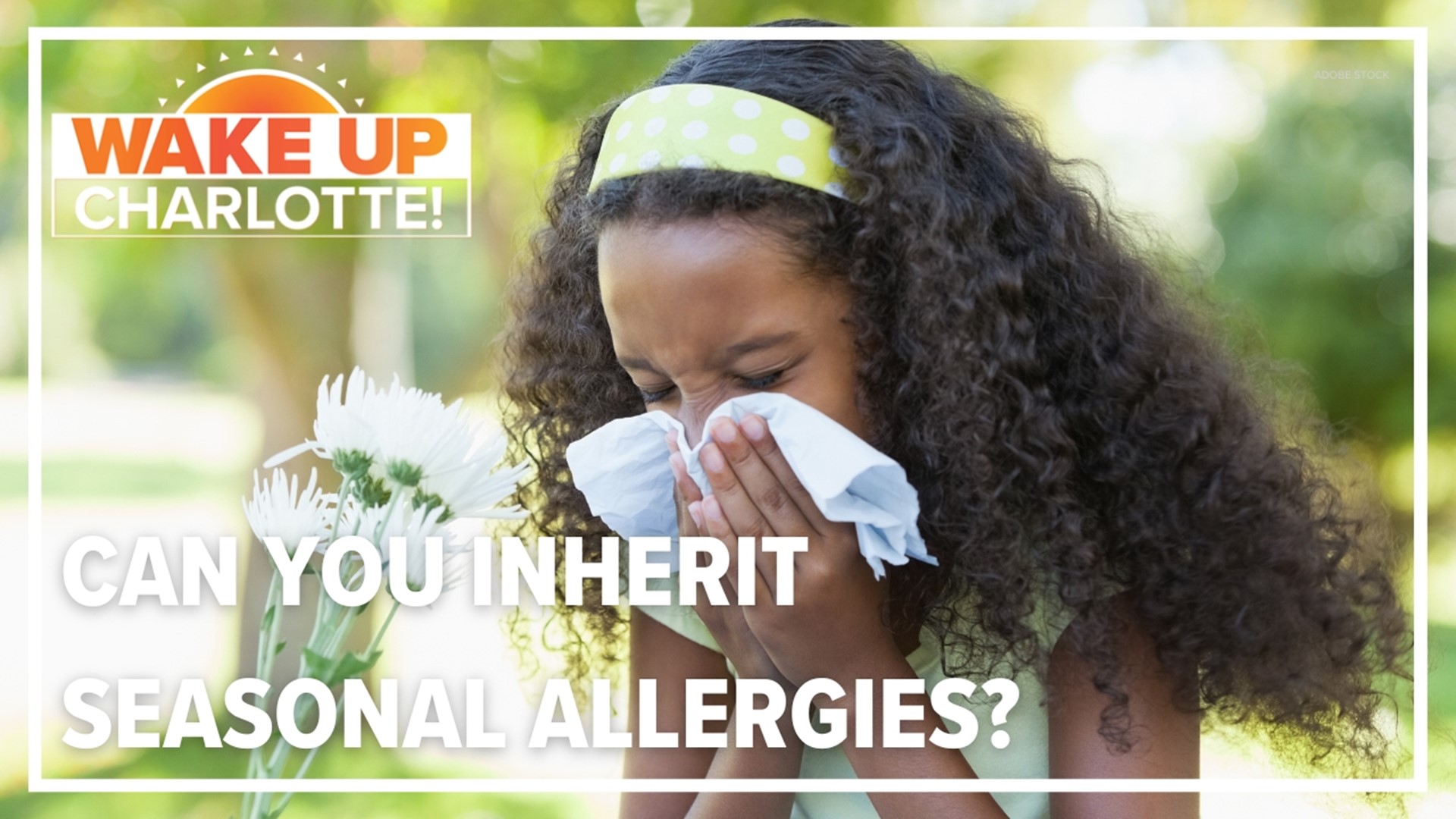 We can pin responsibility on our parents for a lot of things. But can we also blame them for our springtime sneezing, wheezing and coughing caused by allergies?